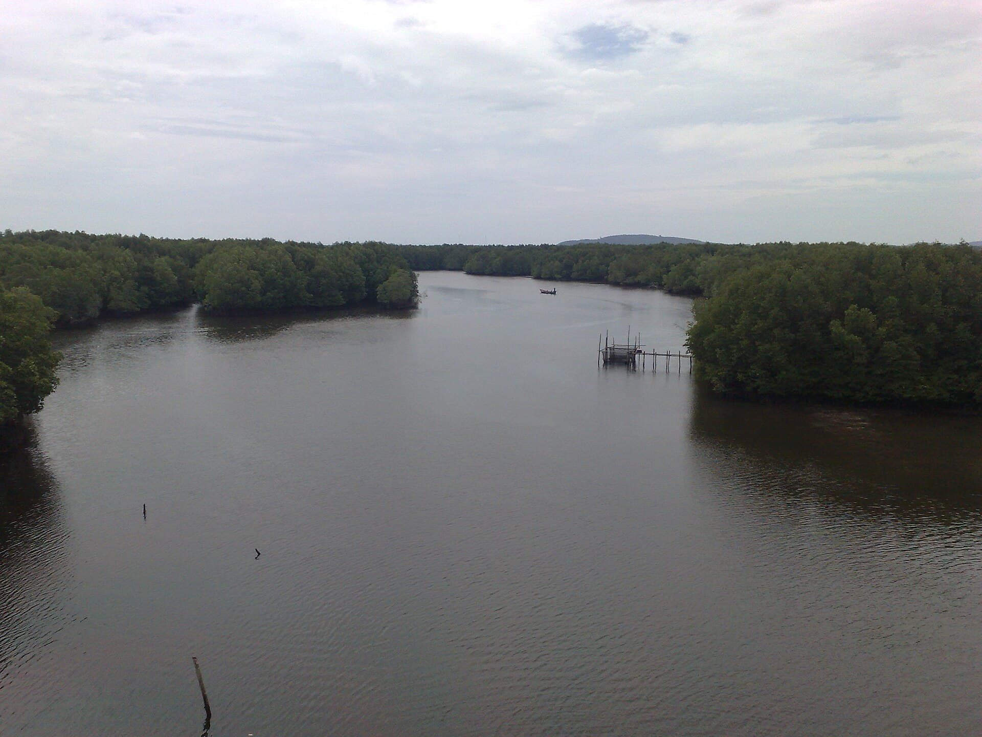 A river at Peam Krasop Wildlife Sanctuary