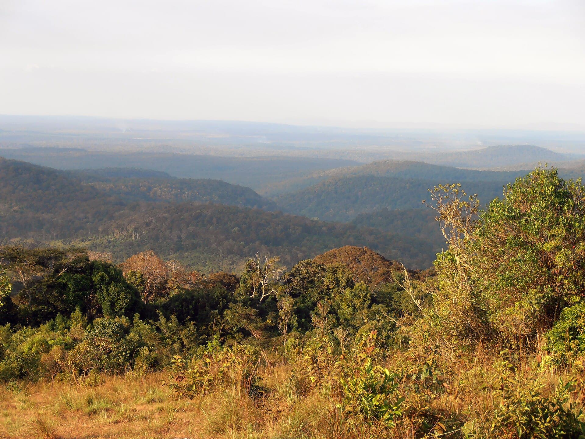 Hazy forested hills above dry grass in Mondulkiri