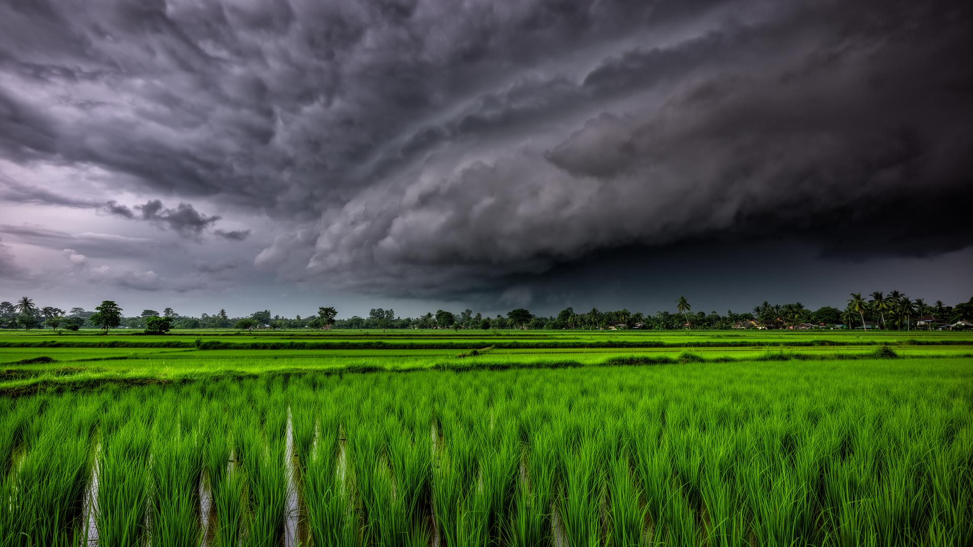 Why You Should Visit Cambodia During Rainy Season